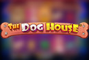 dog-house Slot